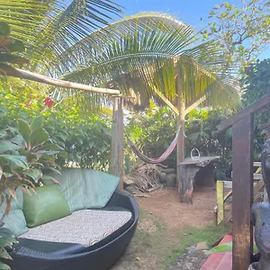 Rasta - Ocean View Bungalows , Port Antonio Jamaica